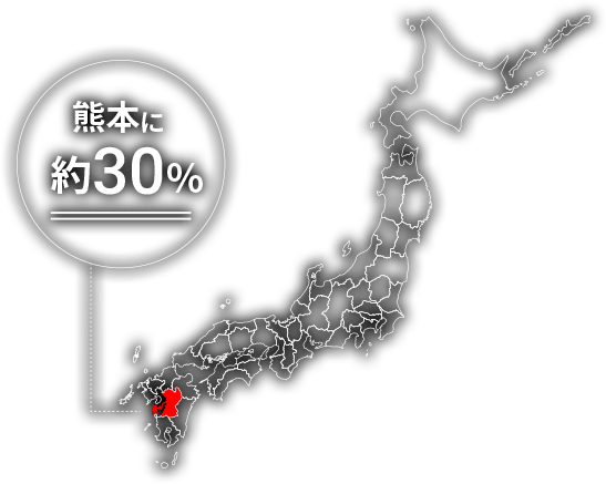 熊本に約40%