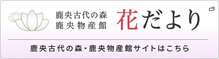 鹿央古代の森　鹿央物産館　花だより